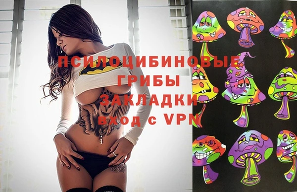 метадон Алексин