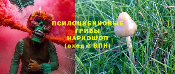 метадон Алексин