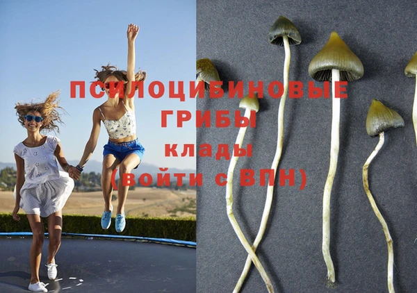 марки lsd Алзамай