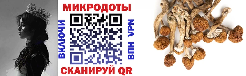 Галлюциногенные грибы прущие грибы  Октябрьский 